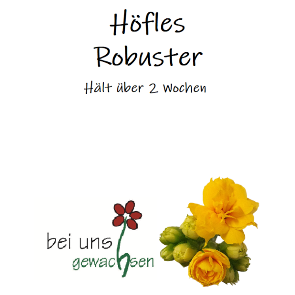Blumenstrauß "Höfles Robuster" Bild 2